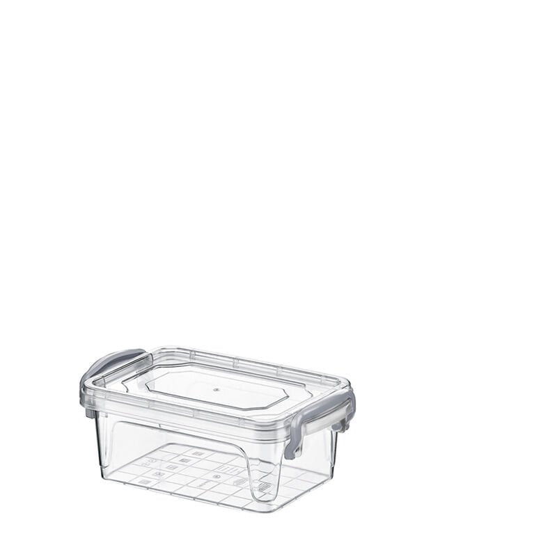 DİKDÖRTGEN MULTİ BOX / 0,3 LT