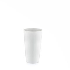 650 ML BARDAK