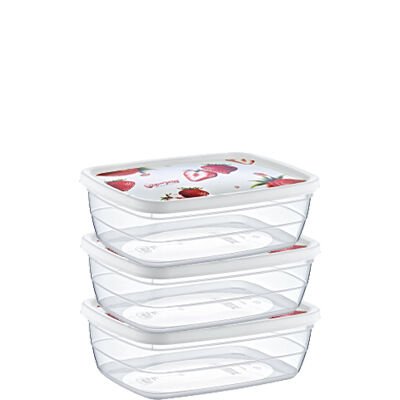 DECO TREND SAKLAMA KABI /  3 X 0,3 LT