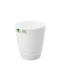4 NO DECORA SAKSI        6.0   LT