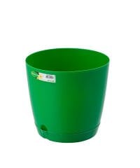5 NO DECORA SAKSI        9.0   LT